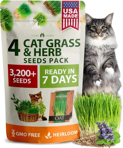 Miniatura 9 de HOME GROWN Mezcla de 3 semillas de hierba para gatos – Semillas de avena, alfalfa y hierba de gato sin OMG Hierba interior para gatos Verdes