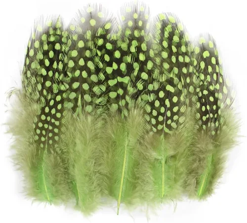 50 plumas manchadas coloridas de color verde fruta de 3 a 6 pulgadas para decoración de joyas y ropa y atrapasueños