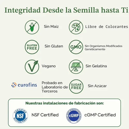 Miniatura 6 de Plant People WonderGreens Veggie Gummies Super Greens con probióticos Multivitamínico Apoyo Gomitas para el bienestar, la energía, la salud