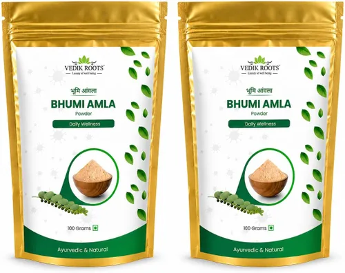 Polvo orgánico de Bhumi Amla – Rico en Vitamina C Antioxidante – Apoya la Función Inmune Saludable 100 Gm (Paquete de 2)