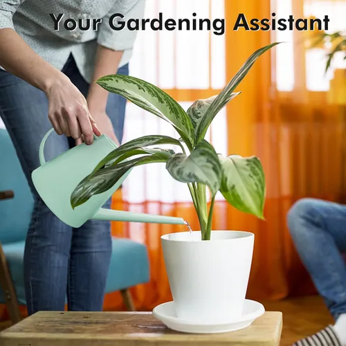 Miniatura 3 de Regadera para plantas de interior y exterior, modernas latas de riego pequeñas con boquilla extraíble, regadera de boquilla larga para plantas Verde