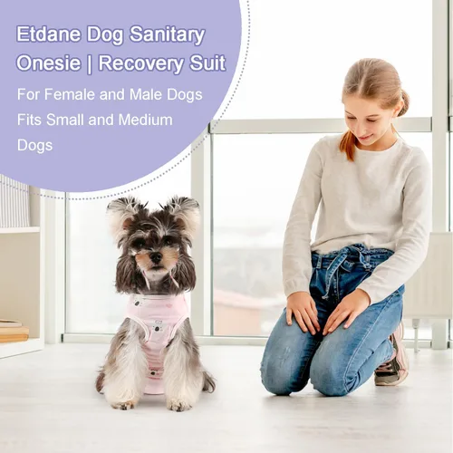Miniatura 2 de Etdane Pañales para perros, bragas sanitarias para el período fisiológico, trajes de recuperación quirúrgica para perros machos y hembras, koala