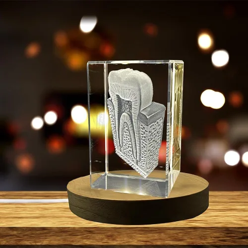 Miniatura 4 de Tooth are Recuerdo de cristal grabado en 3D Regalo para dentista Coleccionable Recuerdo Regalo personalizado de fotos de cristal 3D