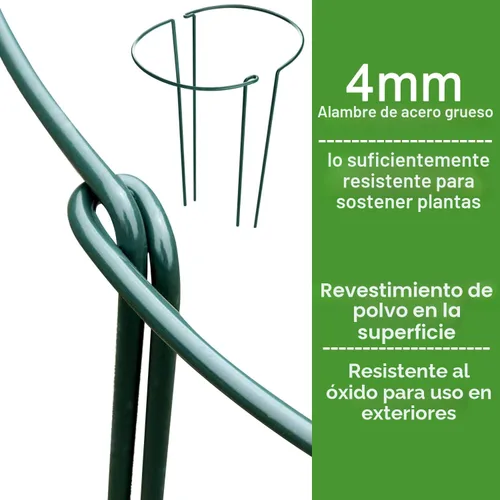 Miniatura 4 de HiGift Estacas de soporte para plantas, paquete de 6 jaulas y soportes de peonía de metal, jaula de soporte para plantas de jardín, anillo