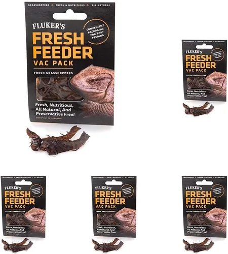 Miniatura 13 de Fluker's Fresh Feeder Vac Pack Cucarachas Dubia, Totalmente Naturales y Libres de Conservantes, Excelentes para Reptiles, Aves o Animales Pequeños