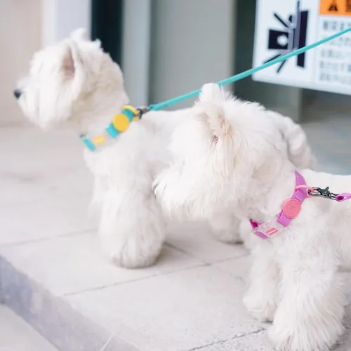 Miniatura 3 de Collares impermeables para perros: protege fácilmente a tu mascota de la humedad y la suciedad ajustando el tamaño para adaptarse a perros medianos