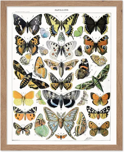 Miniatura 59 de Poster Master Póster vintage de miel, impresión retro de La Vie De L'Abeille, arte de panal de abeja, arte de pared de abeja, regalo para hombres