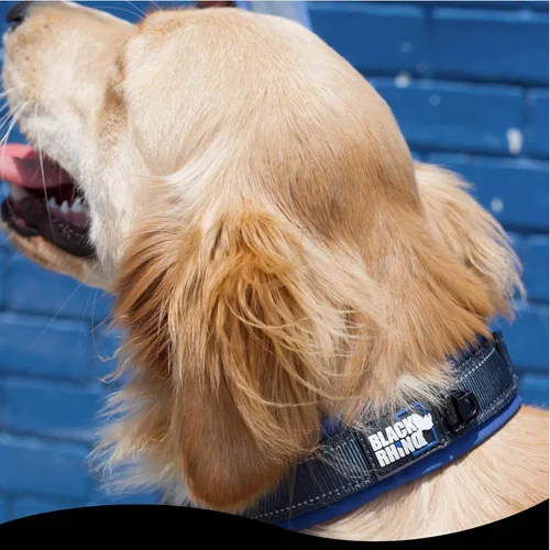 Miniatura 3 de Black Rhino - The Comfort Collar - Collar de perro acolchado de neopreno ultra suave para todas las razas, Collares para perros grandes - Borgoña