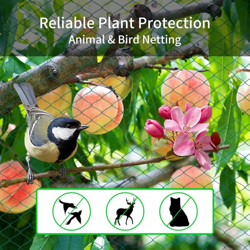 Miniatura 3 de Red para pájaros de 20 x 40 pies con red cuadrada de malla para pájaros de 1 pulgada para gallinero, aviario, valla de ciervos, red de pollo