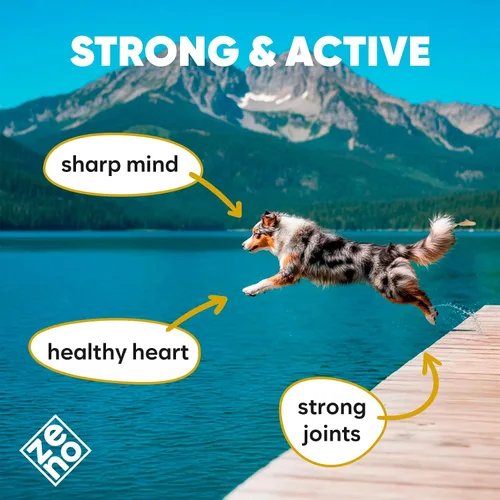 Miniatura 7 de ZENO Aceite de salmón salvaje de Alaska para perros y gatos, aceite de pescado puro para perros con Omega 3, suplementos de EPA y DHA para piel