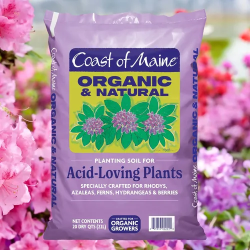 Miniatura 2 de Coast of Maine Suelo de plantación orgánico y natural para plantas amantes de los ácidos, azalea, rododendro y bayas, suelo de siembra premium