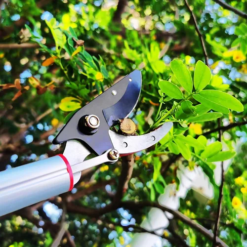 Miniatura 6 de Podadora de árboles extensible de 5.4 a 14.8 pies, 4 secciones, cortadoras telescópicas de corte y sujeción, sierras de poste, tijeras de podar