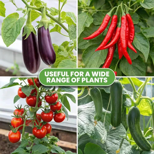 Miniatura 8 de Jaula de tomate – Estacas grandes de enrejado y estructuras de soporte para plantas para verduras y plantas trepadoras – Jaulas altas para tomate