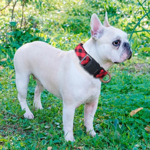 Miniatura 6 de Ladoogo Collar reflectante para perro acolchado con neopreno suave, collares de nailon transpirables y ajustables para perros pequeños, medianos