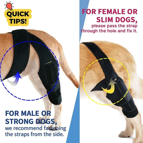 Miniatura 5 de Rodillera para perros para lesiones desgarradas de Acl y Ccl, soporte ajustable para patas traseras para perros con estabilizadores de metal