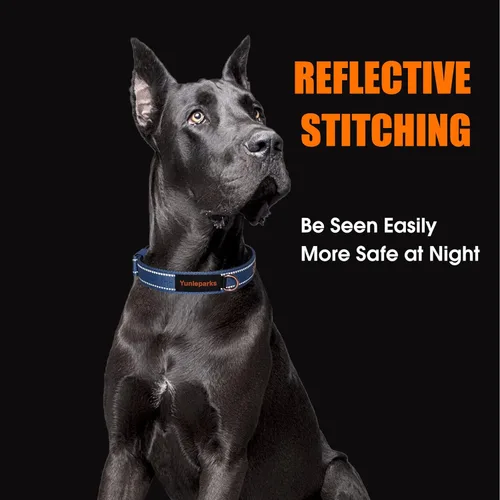 Miniatura 2 de Collar acolchado de neopreno para perros, collar de nailon para perros pequeños a grandes, resistente con hebilla de metal, reflectante