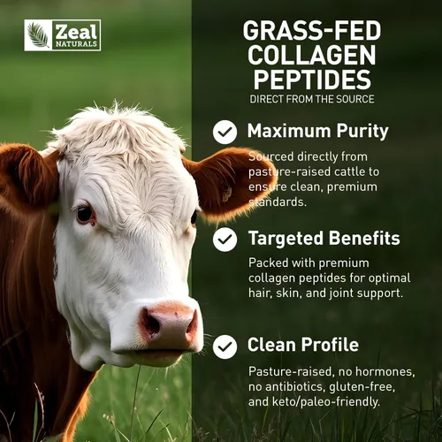 Miniatura 2 de Zeal Naturals Péptidos de colágeno hidrolizados en polvo, 0.35 onzas de proteína, colágeno alimentado con pasto para mujeres y hombres, aminoácidos