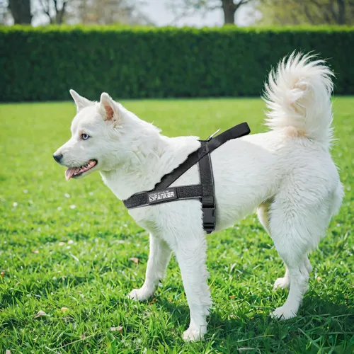 Miniatura 8 de EXCELLENT ELITE SPANKER Arnés sin tirones para perro, acolchado, chaleco de patrulla militar, de nailon ajustable, arnés para perro con asa para Cob