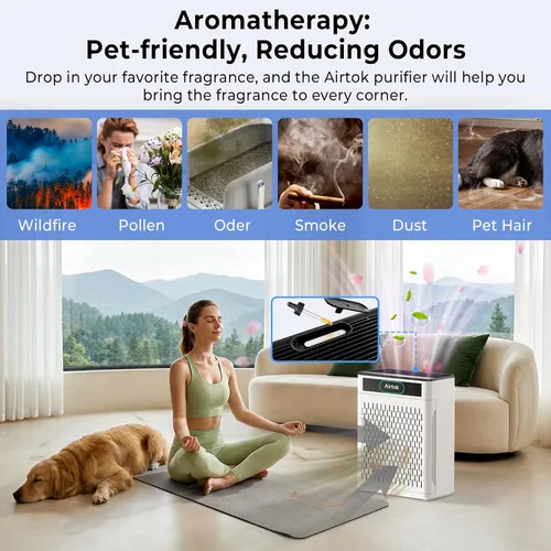 Miniatura 8 de Purificadores de aire para el hogar, habitación grande de hasta 1848 pies cuadrados, purificador de aire AIRTOK para mascotas del hogar, monitor