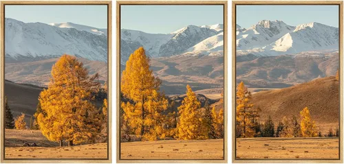 Miniatura 51 de SIGNWIN Lienzo enmarcado para pared, juego de arte nublado de tormenta, cielo, bosque otoñal, árboles, rústico, naturaleza, fotografía, realismo