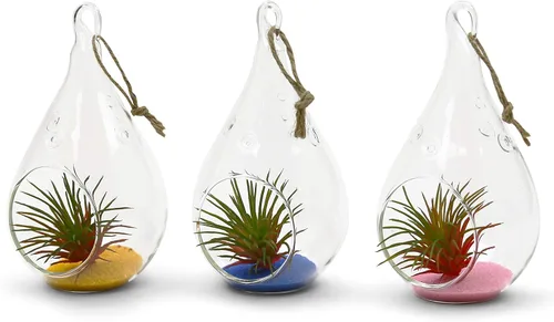 Miniatura 5 de WGV - Planta colgante de vidrio terrario a granel, ancho de 3 pulgadas, altura 5.5 pulgadas, lágrima de bricolaje, maceta de aire para suculentas
