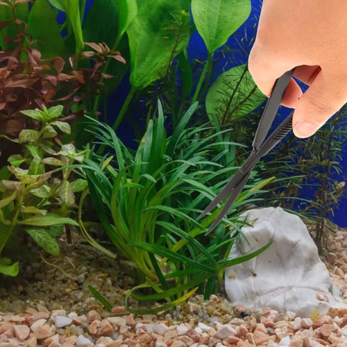 Miniatura 7 de POPETPOP Tijeras curvadas de acuario de 6.1 pulgadas, tijeras de hierba para agua, acción de precisión con resorte para paisajismo acuático y poda