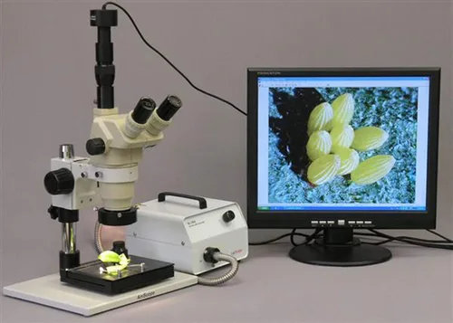 Miniatura 3 de AmScope Iluminador 150W del anillo de la fibra óptica del halógeno del microscopio HL150-AR