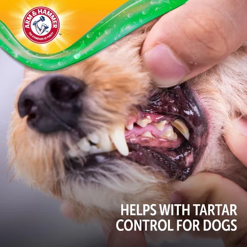 Miniatura 7 de Arm & Hammer Complete Care Gel oral sin escobillas para perros, sabor a mantequilla de maní, pasta de dientes para perros sin cepillo, bicarbonato