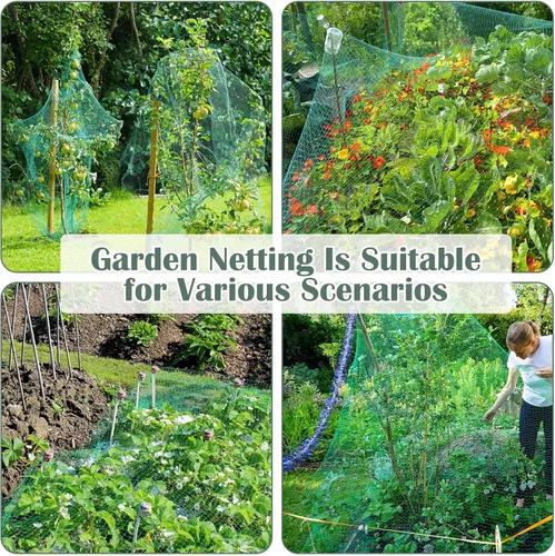 Miniatura 3 de Red de protección antipájaros de 13 pies x 33 pies, malla de protección para jardín, plantas y plantas, flores, árboles frutales, verduras de Verde