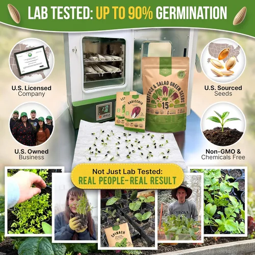 Miniatura 2 de Organo Republic Paquete de variedad de semillas de lechuga y verduras para ensalada de 15 tipos, más de 17700 semillas de lechuga autóctonas sin OGM