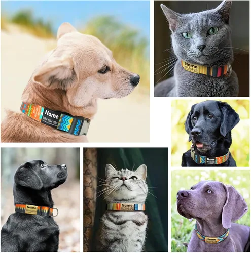 Miniatura 6 de Collar de perro personalizado grabado con placa de nombre, personalizado con etiqueta de identificación y número de teléfono, 6 estilos para niños