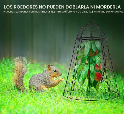 Miniatura 5 de boldworks Cloches de Jardín para Plantas, Jaulas de Alambre de Pollo para Proteger de Animales al Aire Libre, Extra Grandes, Resistente a