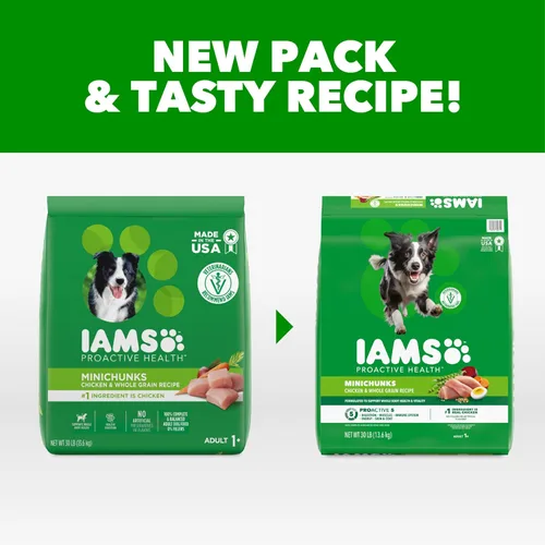 Miniatura 2 de IAMS Proactive Health Adult Minichunks Alimento Seco para Perros receta de Pollo y Granos Integrales, Bolsa de 30 lb