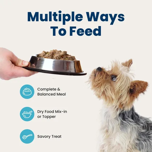 Miniatura 8 de Blue Buffalo Delicias Copa de alimentos de perro mojada de la raza pequeña para adultos naturales, sabor a la parrilla de pollo en jugo sabroso