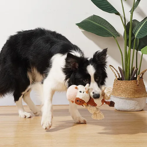 Miniatura 4 de Sedioso Juguetes para perros, juguete de peluche para perros para razas grandes, bonitos juguetes chirriantes para perros con papel arrugado