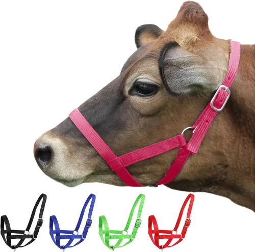 Derby Originals Cabestros Ajustables de Nylon para Ganado Bovino