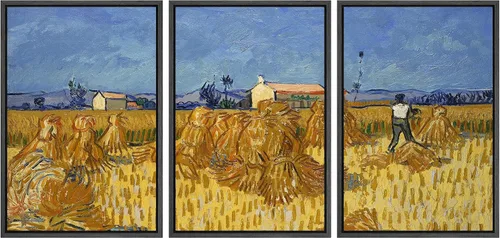 Miniatura 94 de Lienzo decorativo para pared - cuadro con estampado Giclée para decoración del hogar Noche estrellada sobre el Ródano