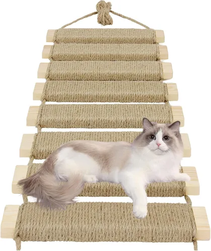 Escalera y puente para gatos de 20 pulgadas, árbol para gatos al aire libre con cuerda de yute, marco de escalada de varios niveles y rascador para