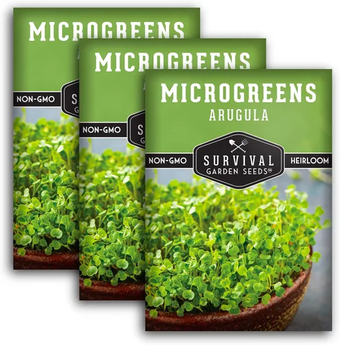 Miniatura 11 de 1 paquete de microgreens de rúcula para plantar y cultivar – Semilla para plantar microvegetales de hoja verde en interiores – Cultiva tu propio