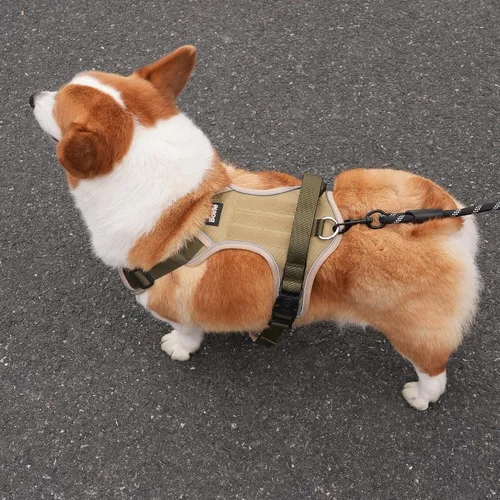 Miniatura 8 de Arnés para perro pequeño, arnés reflectante resistente táctico sin tirones y collar - seguro, sin estrangulamiento, chaleco para mascotas fácil