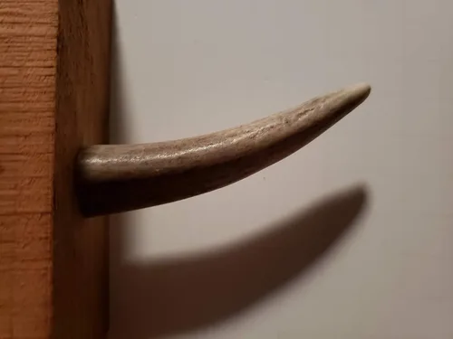 Miniatura 8 de Ganchos de pared con punta de asta real, atornillados en madera o paneles de yeso, paquete de 3