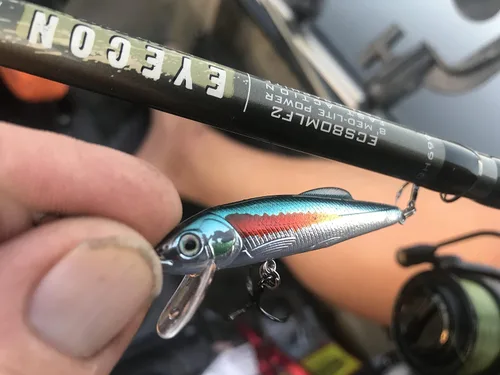 Miniatura 4 de St. Croix Rods Eyecon - Caña giratoria EYS, elaborada por expertos, versátil y de alto rendimiento