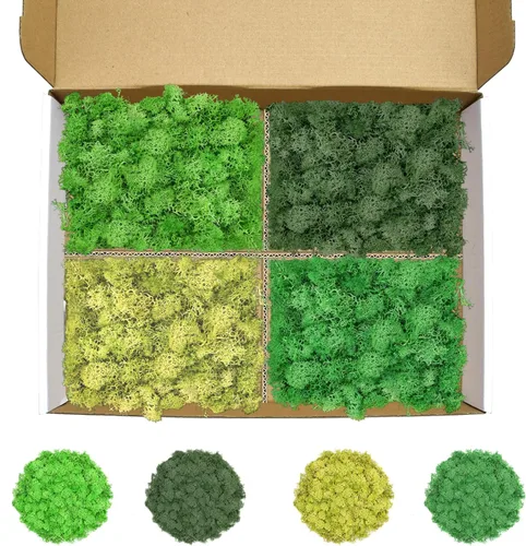 Miniatura 20 de Musgo de reno amarillo preservado de 3.5 onzas para plantas en maceta, decoración artesanal para arte de pared, musgo falso para decoración