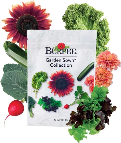 Miniatura 10 de Burpee Culinary Classics Garden Collection - 10 paquetes de cebollino sin OGM, cilantro, albahaca, salvia, tomillo, eneldo, perejil, manzanilla