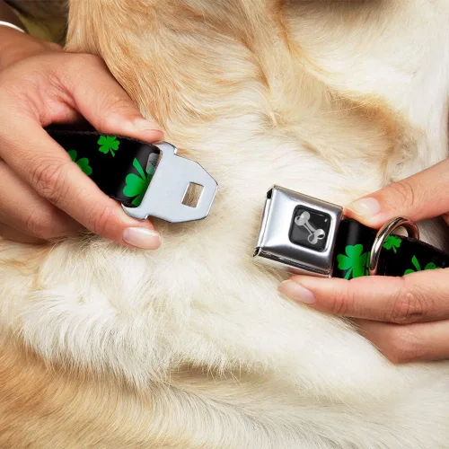 Miniatura 8 de Buckle-Down Collar de perro Hebilla de cinturón de seguridad St Pats Clovers Scattered2 Negro Verde Multicolor, DC-W34594-S, 1 pulgada de ancho - se