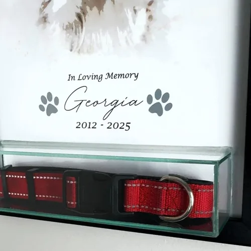 Miniatura 8 de Perfect Cases Marco conmemorativo para mascotas con pantalla de collar e impresión fotográfica de 8 x 10 pulgadas y grabado personalizado..