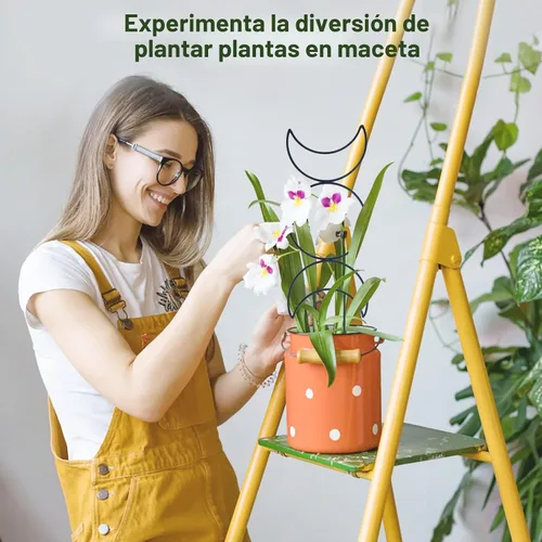 Miniatura 5 de Wellsign Enrejado de plantas de interior para plantas trepadoras, enrejado de metal de jardín pequeño de 16 pulgadas para plantas en macetas al aire