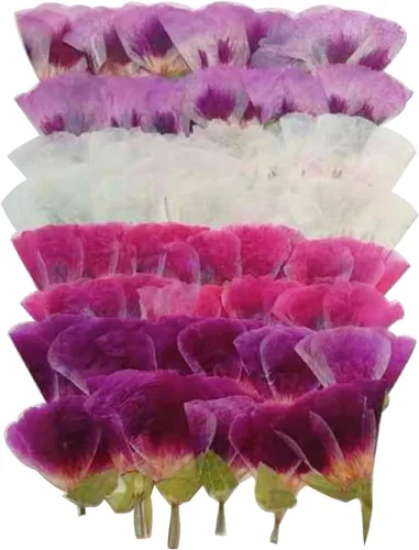 48 piezas de flores secas prensadas para manualidades, resina, bricolaje, flores naturales secas y epoxi, flores reales con hojas, plantas,