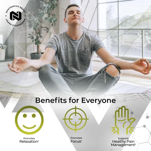 Miniatura 3 de Nootropics Depot Tabletas de disolución controlada por isoliquiritigenina 60 unidades 25 mg Extracto de regaliz Glycyrrhiza glabra Estado