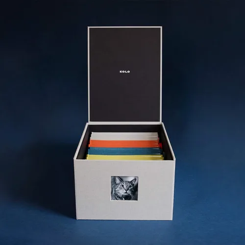 Miniatura 4 de Kolo Havana Archival - Caja de almacenamiento de fotos, tamaño mediano, color platino Platinado